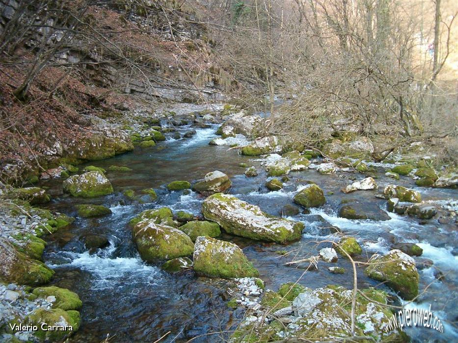 10' Continiamo  la risalita selle sponde del fiume.jpg - 10' Continuiamo  la risalita selle sponde del fiume